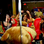 Pic of Dancing Bear, sex party, bachelorette parties gone wild, party hardcore