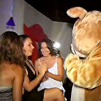 Pic of Dancing Bear, sex party, bachelorette parties gone wild, party hardcore