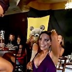 Pic of Dancing Bear, sex party, bachelorette parties gone wild, party hardcore