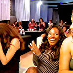 Pic of Dancing Bear, sex party, bachelorette parties gone wild, party hardcore