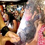 Pic of Dancing Bear, sex party, bachelorette parties gone wild, party hardcore