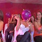 Pic of Dancing Bear, sex party, bachelorette parties gone wild, party hardcore