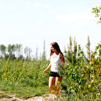 Pic of Pee Hunters - the ultimate pissing porn site. Outdoor pee spy camera shots, spy pee movies, voyeur pissing movies, pee and pissing photos on PeeHunters.com. Highest quality pee spy content!