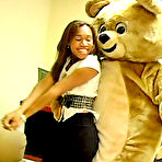 Pic of Dancing Bear, sex party, bachelorette parties gone wild, party hardcore