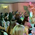 Pic of Dancing Bear, sex party, bachelorette parties gone wild, party hardcore