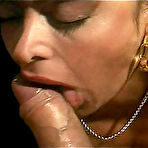 Pic of RoccoSiffredi.com clips at WeShowPorn.com