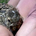 Pic of Teens Art Free - Teens Art Photo, Russian Teens Pics