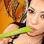 Pic of Gallery of  - 