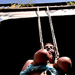 Pic of Public Disgrace Flash Porn GalleryBusty brunette teenie has her shaved box drilled on the couch