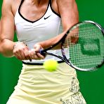 Pic of Maria Sharapova