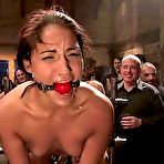 Pic of Public Disgrace Flash Porn GallerySexy brunette babe gets on her knees to suck hard big dick