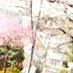 Pic of Yuuri Shiina Asian in school uniform is so cute while walking