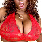 Pic of XLGirls.com - Nina Star - If The Top Fits, Wear It