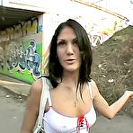 Pic of BANGBROS network 