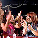 Pic of Dancing Bear, sex party, bachelorette parties gone wild, party hardcore