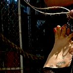 Pic of SexPreviews - Maitresse Madeline with gf femdoms milking and strapon fucking bound slave