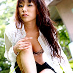 Pic of Hesitant Sheep @ AllGravure.com