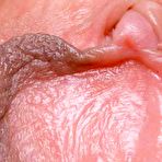 Pic of Japanese shaved pussies 2
