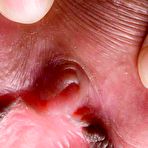 Pic of Japanese shaved pussies 2
