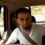 Pic of GAYHITCHHIKER.COM :: THE BEST GAY REALITY SITE!