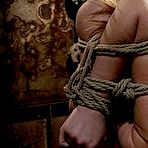 Pic of SexPreviews - Madison Scott big breasted blonde is rope hogtied and finger fucked to orgasms