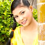 Pic of Erotic Asian Video Collection