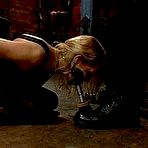Pic of SexPreviews - Rain Degre bdsm slave is fucked and used live on cam