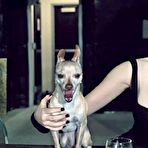 Pic of :: Babylon X ::Scarlett Johansson gallery @ Celebsking.com nude and naked celebrities