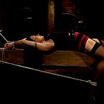 Pic of SexPreviews - Mahina Zaltana Hawaiian girl is bound stripped and made to cum