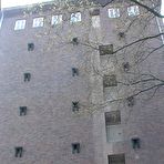 Pic of The biggest Domestic Discipline Site on Earth