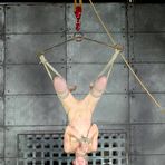Pic of SexPreviews - Elise Graves is bound in rope in dungeon and drooling