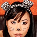 Pic of Tigerr Benson in The Puurrfect Milkshake! at Candy Pleasure | Set houseoftaboo/16230