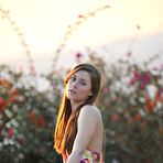 Pic of Bunny Lust - Hayley Hanes Sunset