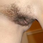 Pic of Hot hairy wife - Home Porn Bay