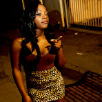 Pic of Tamra Millan @ DOGFARTMEGAPASS.COM