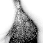 Pic of Vintage Pornography - by HomeMadeJunk.com