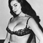 Pic of Vintage sex action in a hot retro vintage porn movie 