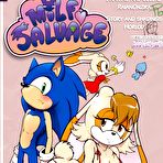 Pic of Sonic Milf Savage &ndash; Quadrinhos Er&oacute;ticos  | Revistas e Quadrinhos