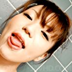 Pic of Licentious Asian girl Asuka Ayanami tit and oral fuck plus cum swallowing in the bathroom