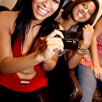 Pic of Dancing Bear, sex party, bachelorette parties gone wild, party hardcore