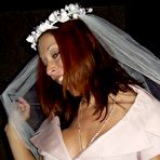 Pic of Dancing Bear, sex party, bachelorette parties gone wild, party hardcore