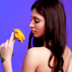 Pic of OVERLAY - FREE PRETTY4EVER PHOTO GALLERY - YOUNG RUSSIAN MODELS