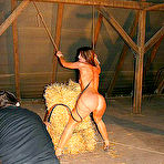 Pic of Countless strokes of the whip