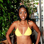 Pic of Hairy pussy pictures of Nina - The Nude and Hairy Women of ATK Natural & Hairy