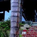 Pic of Dani Daniels Dares To Seduce Him And Gets A Boner For Her Efforts - Free Porn Video - Ass, Blowjob, Creampie, Hardcore, Hd Porn Tube - 272480 - ProPorn.com