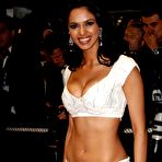 Pic of Busty Mallika Sherawat shows deep cleavage at premiere