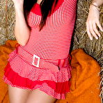 Pic of PinkFineArt | Sandra Country Life from Sandra Shine Live