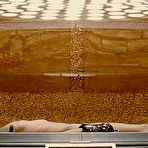 Pic of Milla Jovovich nude tits in The Fifth Element