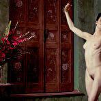 Pic of Amira Casar fully nude in Ich Und Kaminski