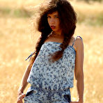 Pic of Sunny-Day
